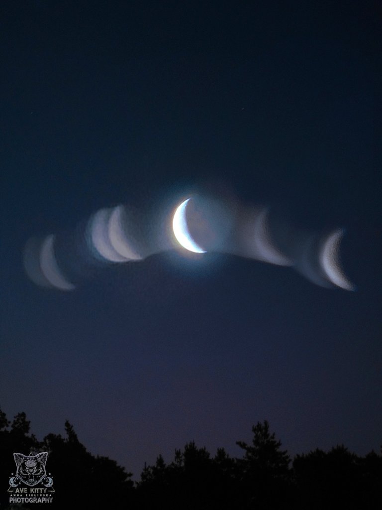 MAGIC NIGHT WITH THE MOON *26%*