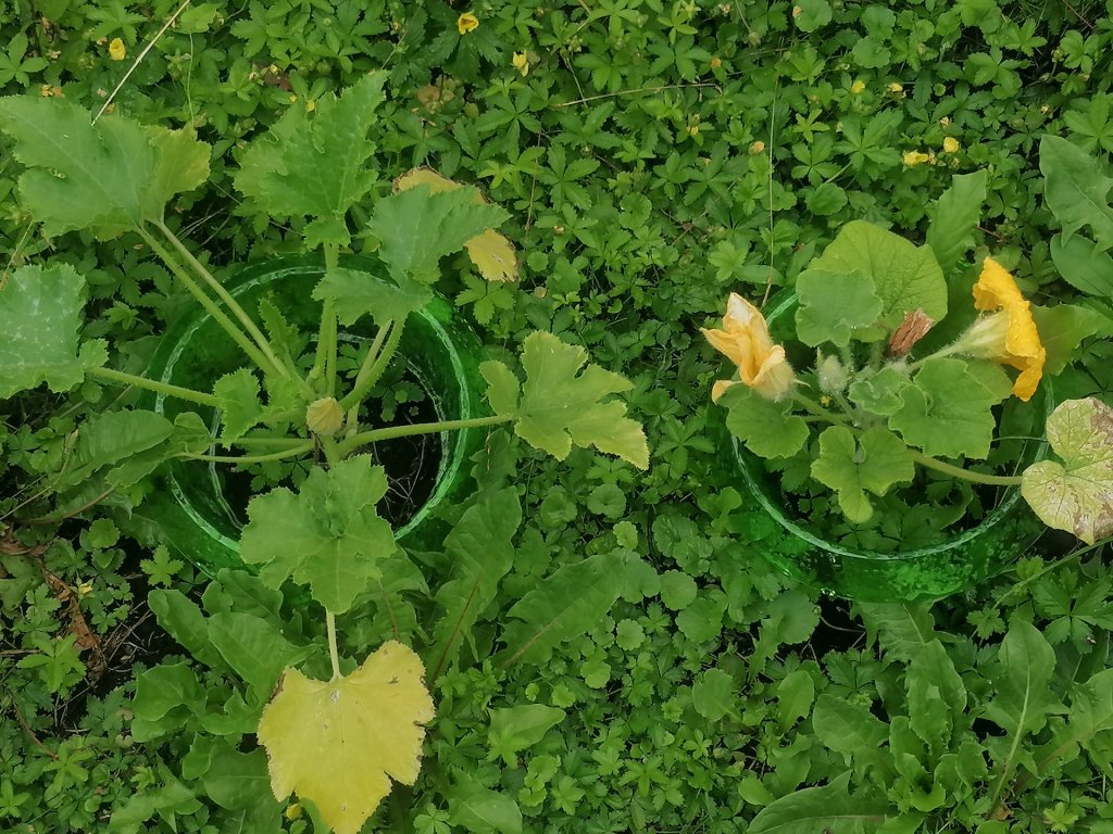 :)