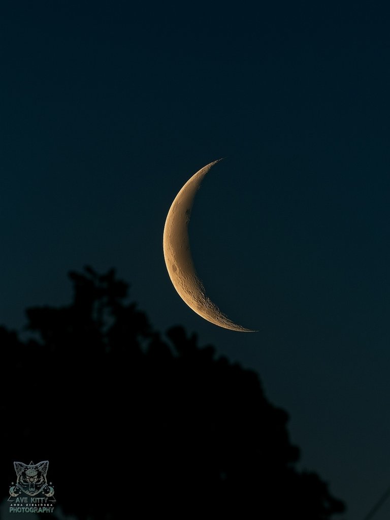 KSIʯYC 13% (22.06.2025r.)