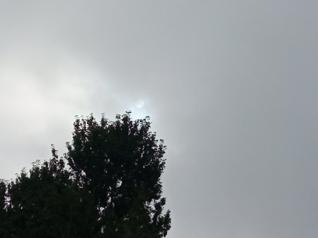 The morning