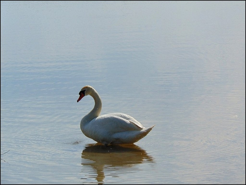 Dobranocka z abdziem :)