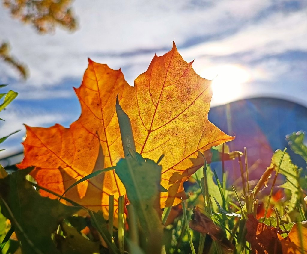 Jesie� idzie, rady na to nie ma