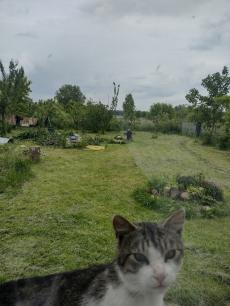 Kocio