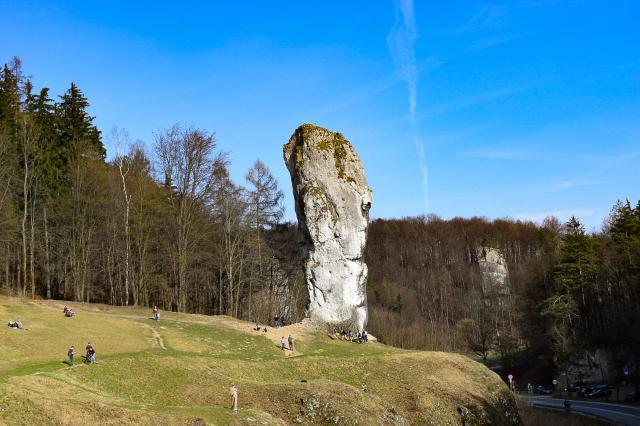 Maczuga Herkulesa