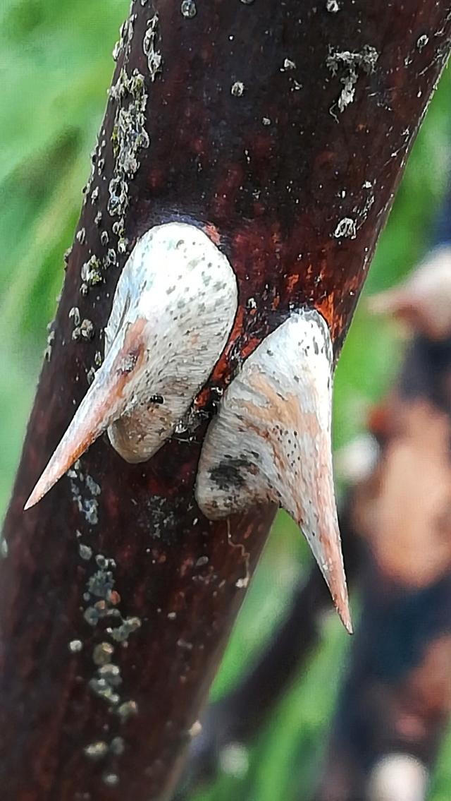 Wpis nowaphoto