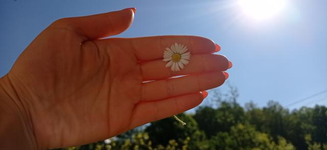 Have a nice day