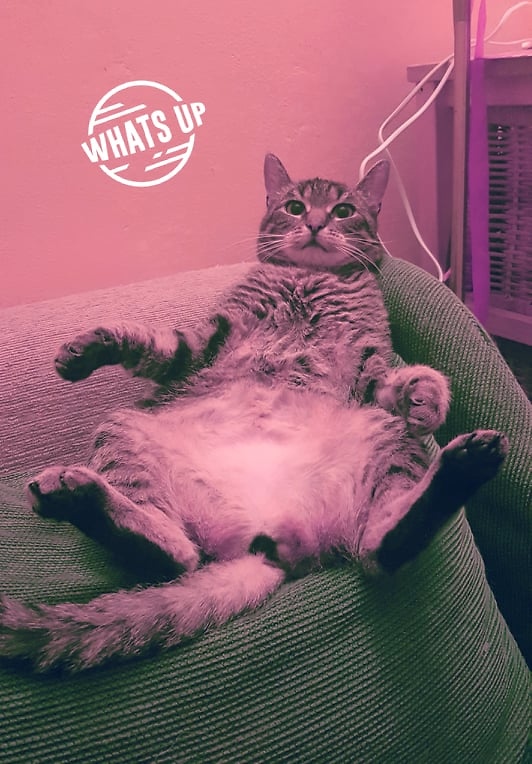 ^^