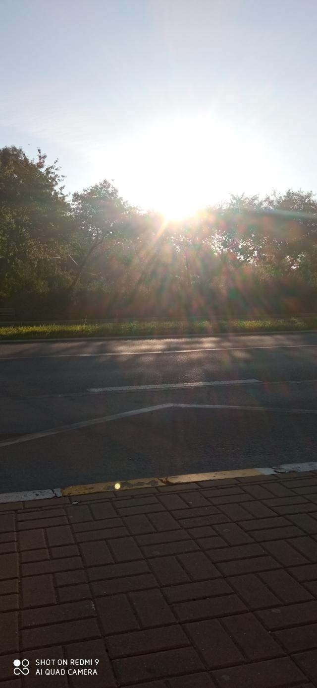 Nowy dzie