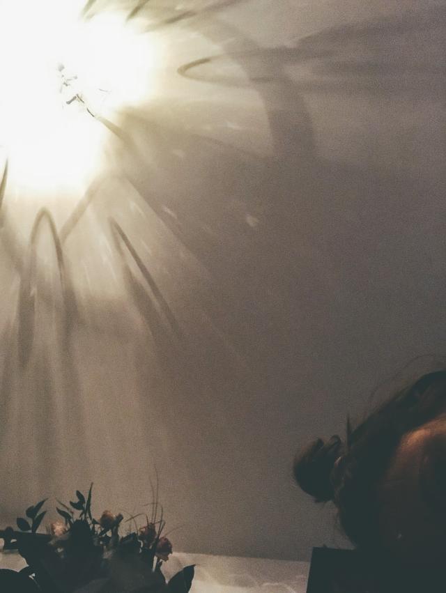 xcxcx
