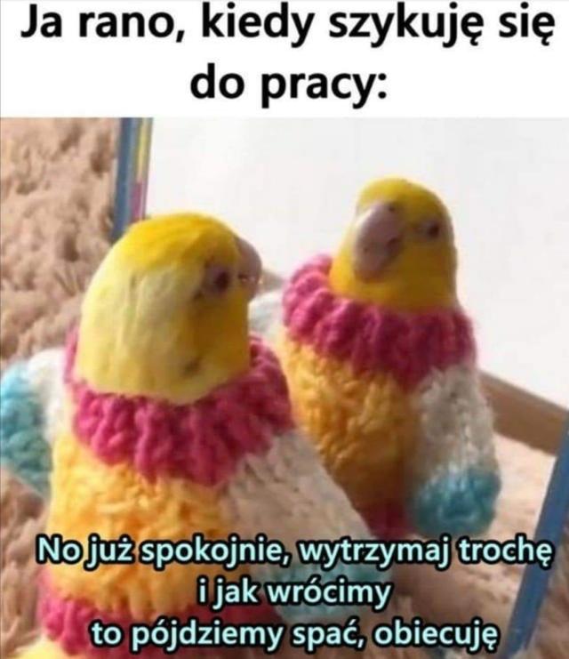 Wpis kasiakasia90