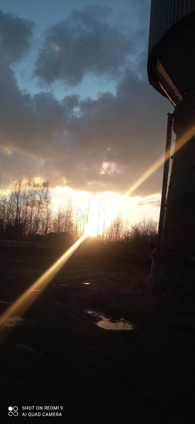 Wpis michal772