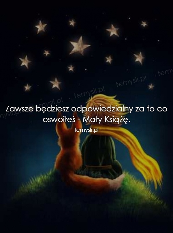 Wpis lilyr