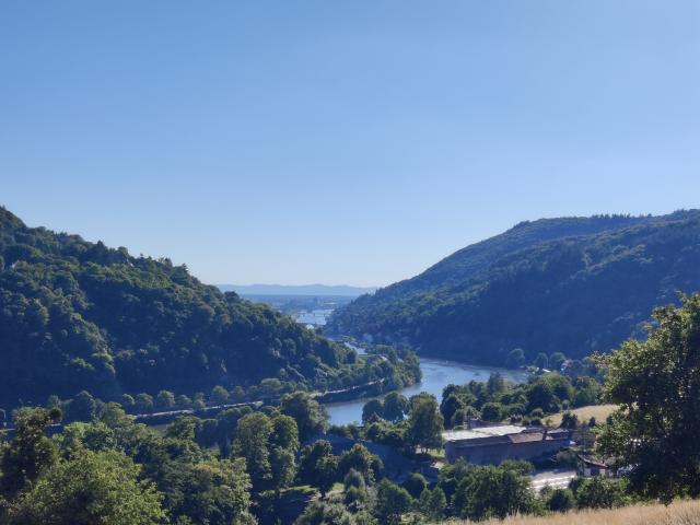 Widok na Heidelberg 