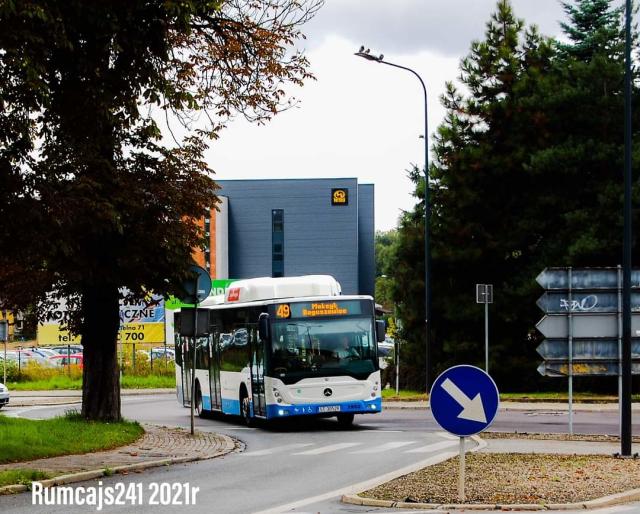 Transgr #3952