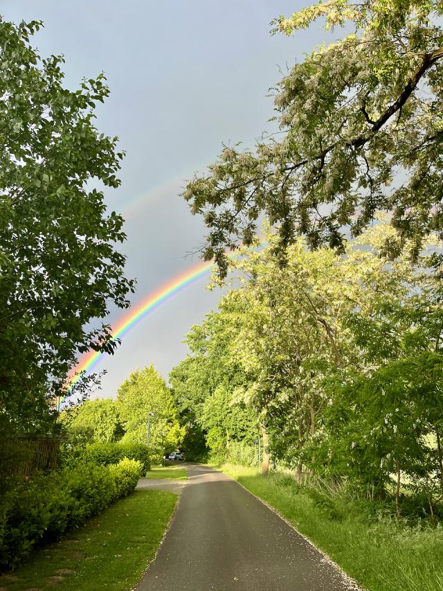 Regenbogen