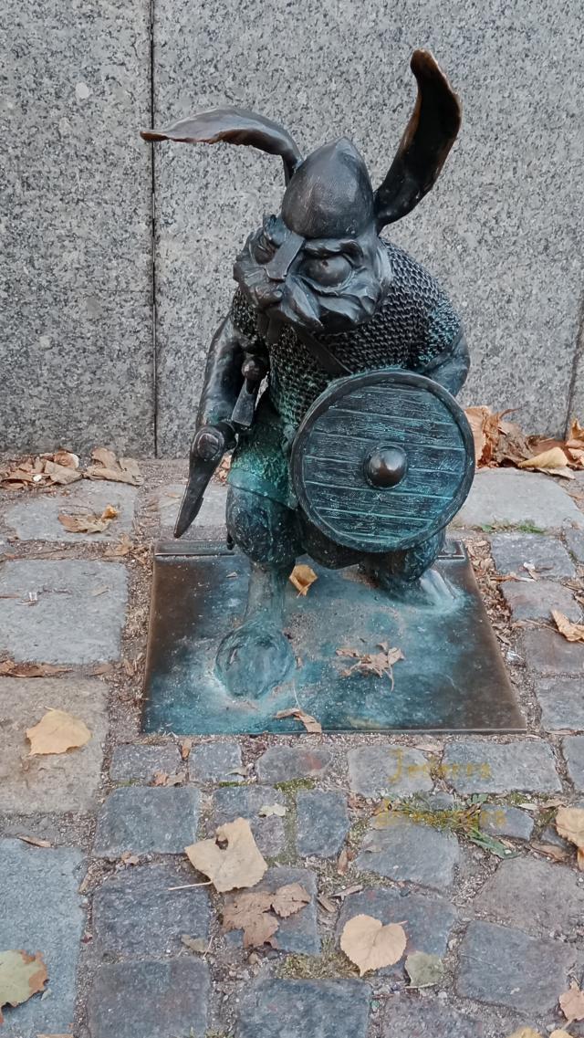 Drog historii