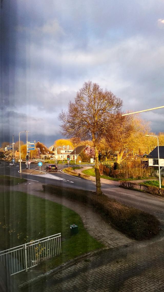 Zwaagdijk Oost - Holandia 