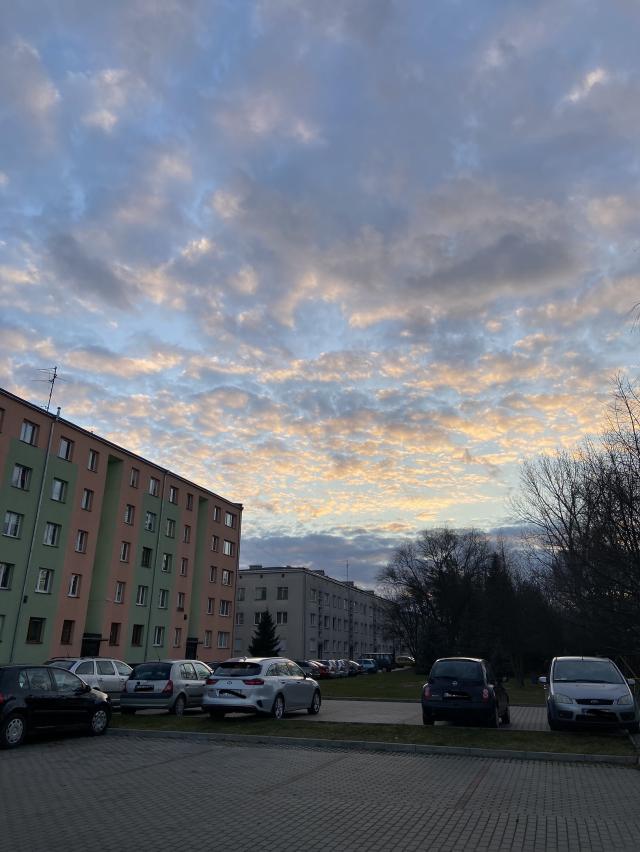 Covid