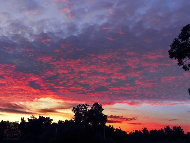 COLORFUL SUNRISE