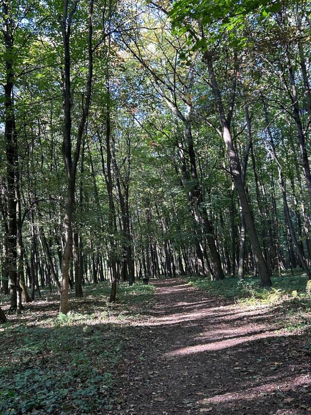 Wpis rodzinkamatrasow