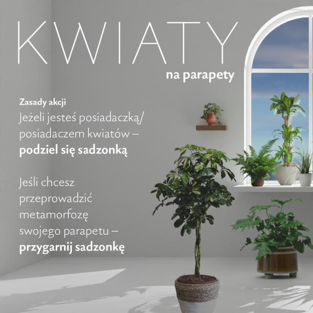 Akcja Kwiaty na parapety