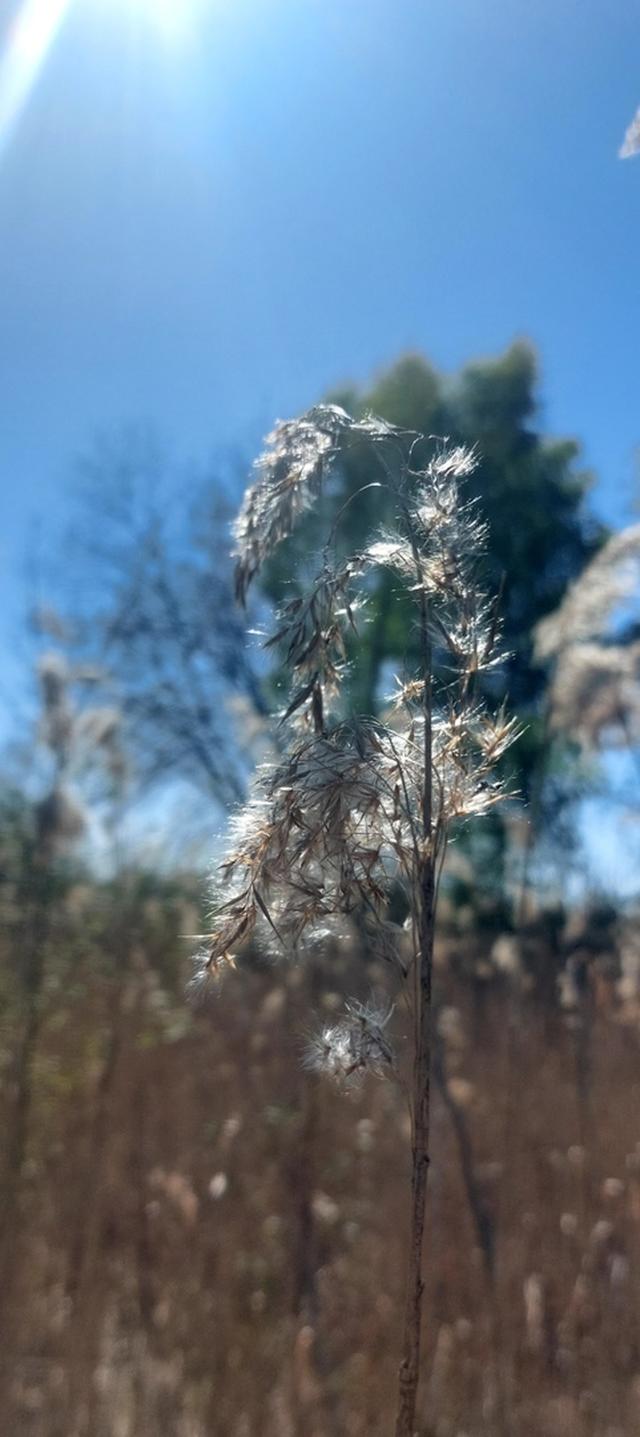 Lato w peni jaki czas temu