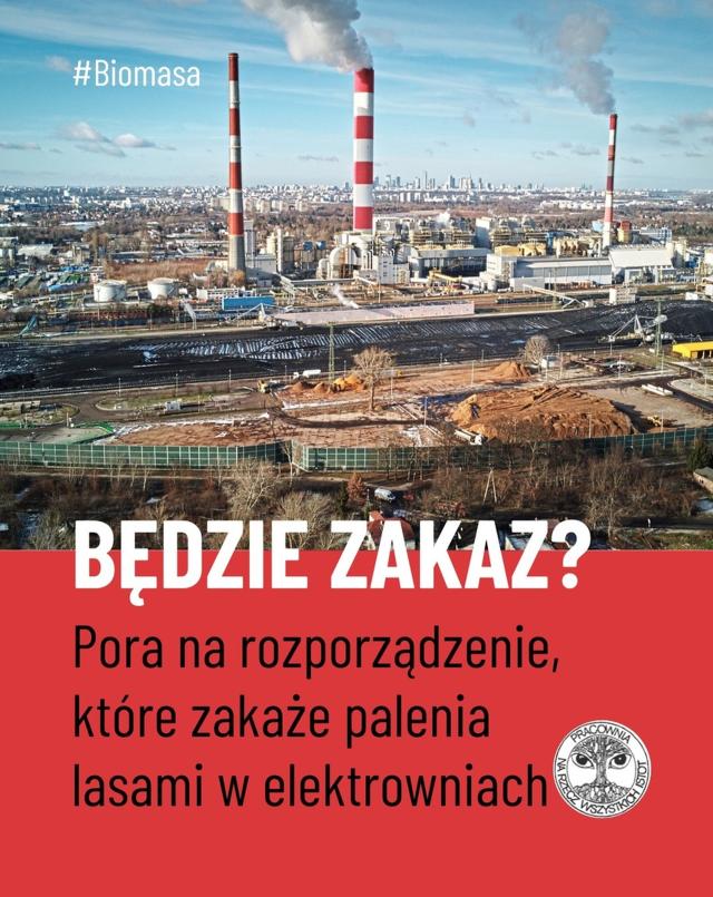 Pora na zakaz palenia drewnem