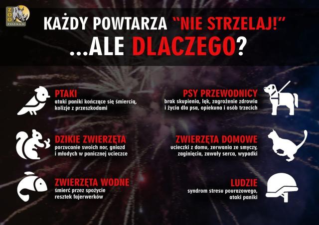 Nie strzelaj w Sylwestra