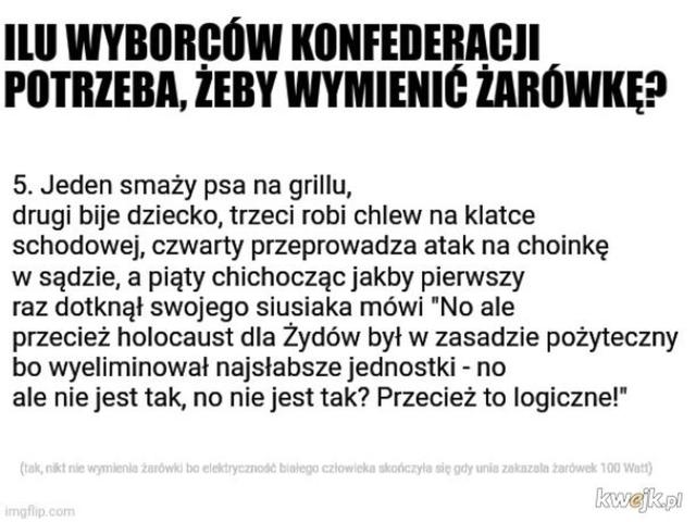 Ilu wyborcw Konfederacji trzeba