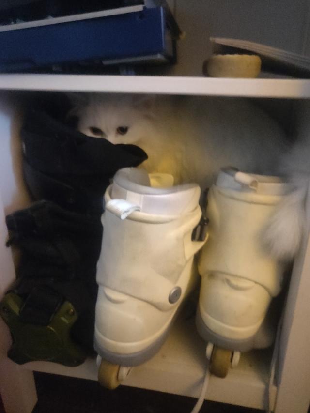 ...
