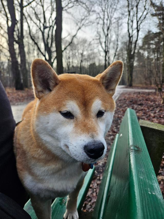 Spacerowo