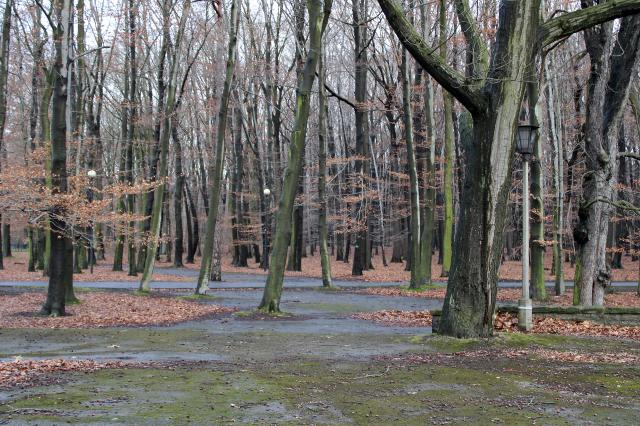 Gliwice
