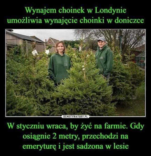 Rozwizanie ekologiczne