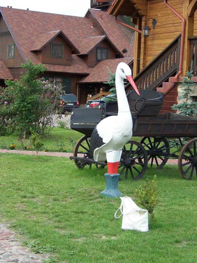 bociek przylecia