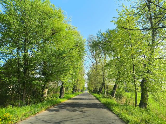 Trasa