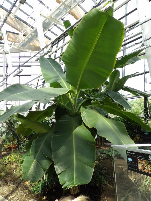 Egzotarium