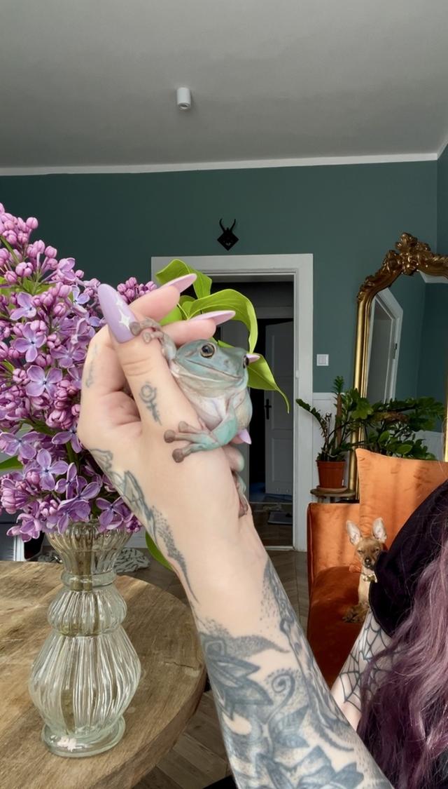 X