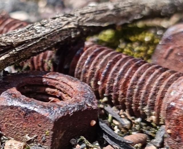Natura zardzewiaa i martwa