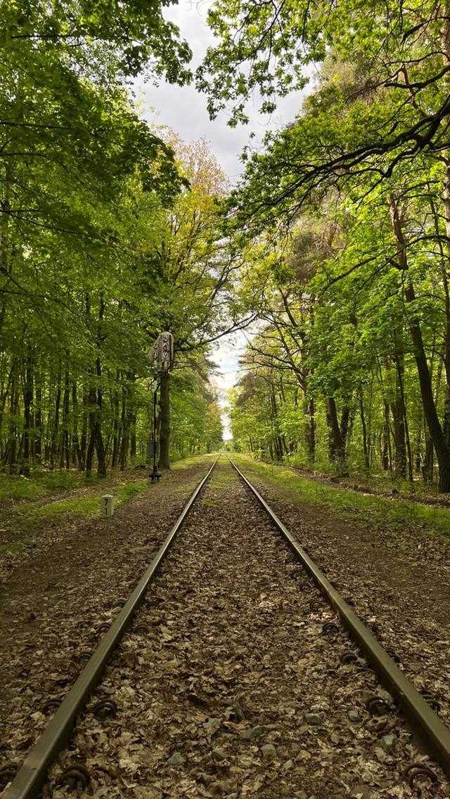 Long way