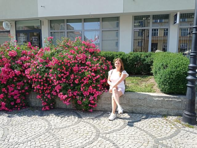 Roses