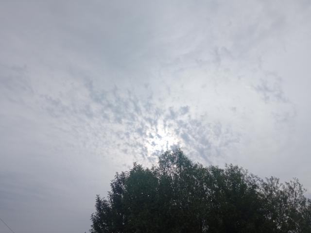 The clouds