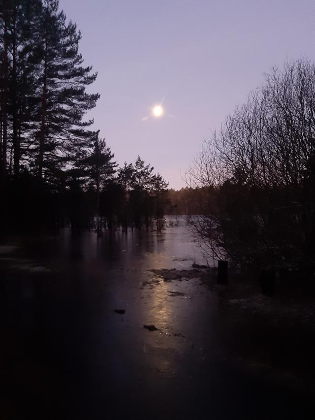 Dawn
